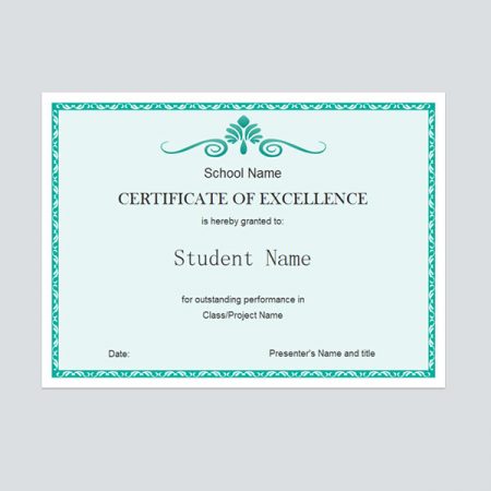 Excellence Certificate