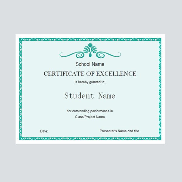 Excellence Certificate