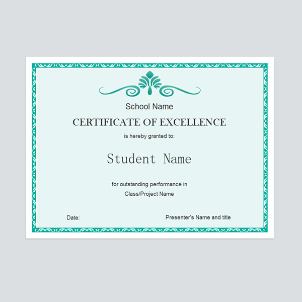 Excellence Certificate
