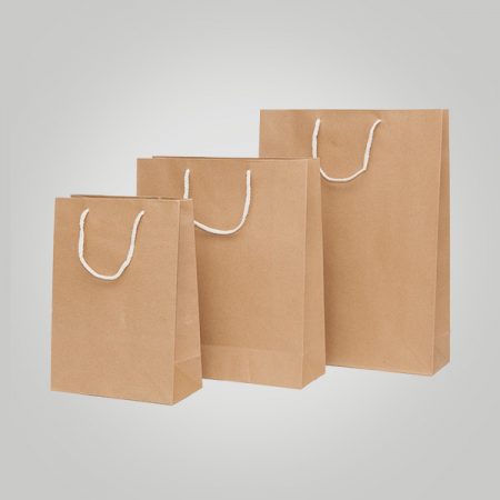 Kraft Bags