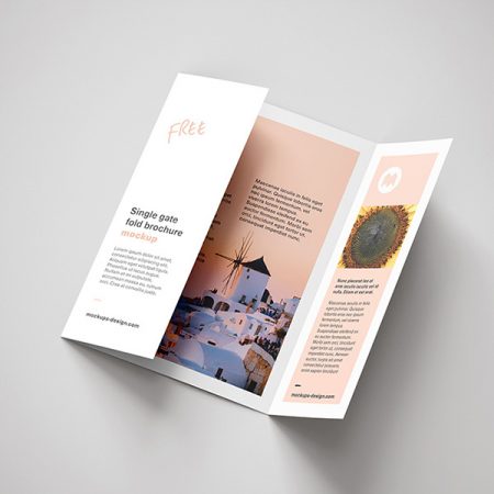 Single Gate Fold Brochure