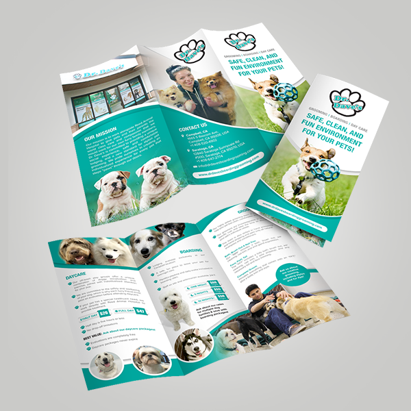 Classic Tri Fold Borchure