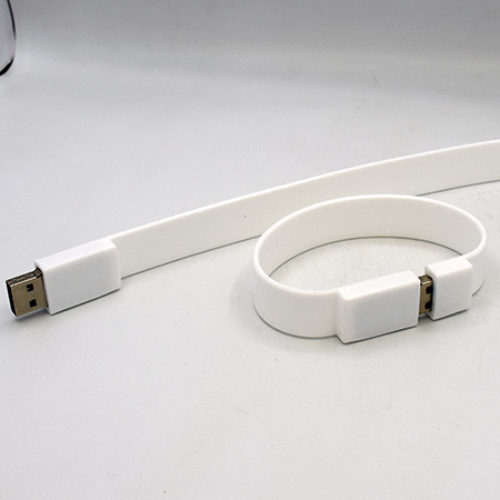 Wrist Band USB